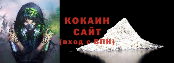 индика Покровск