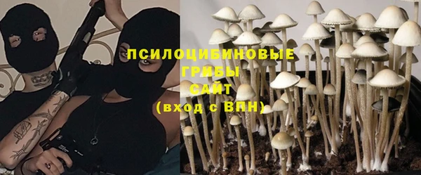 ECSTASY Алзамай